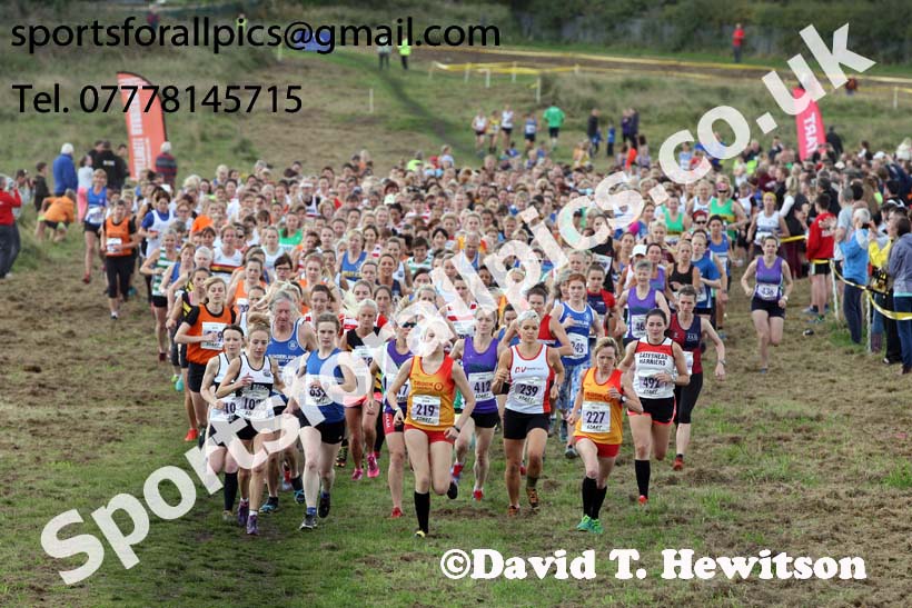 Senior womens Start Fitness North Eastern Harriers League, Wrekenton, Gateshead. Photo:  David T. Hewitson/Sports for All Pics